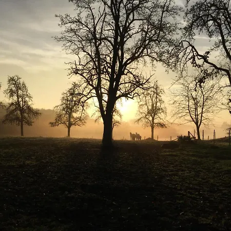 Am Gruenenplatz 65 *