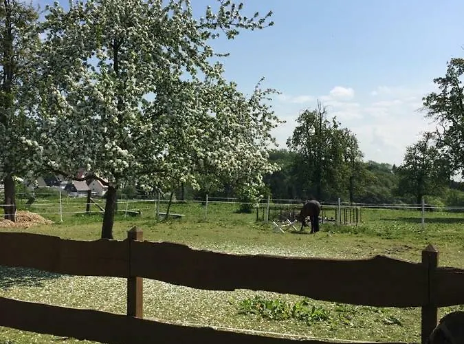 Am Gruenenplatz 65 Lejlighed *